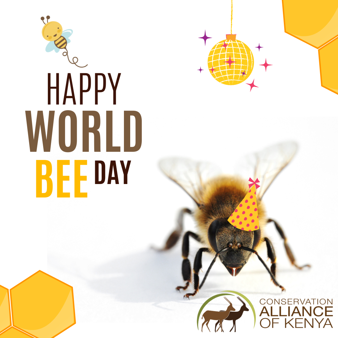 Happy World Bee Day Instagram Post 